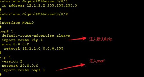 OSPF进阶篇 深入探索高级网络技术