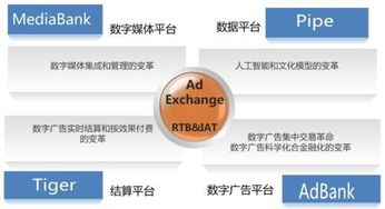 传合网络科技 引领网络技术创新的企业形象图册